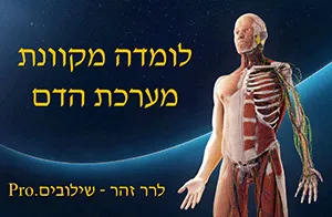 לומדה מקוונת בנושא מערכת הדם