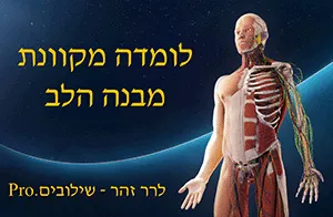 לומדה מקוונת בנושא מבנה הלב