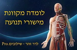 לומדה מקוונת בנושא מישורי תנועה